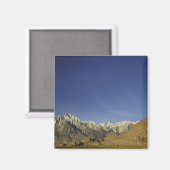 カリフォルニア、山・ホイットニー、稲葉国有林 マグネット (正面/裏面)