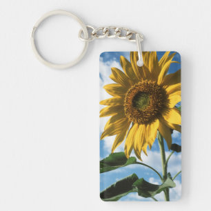 カリフォルニア、巨大なひまわり (Helianthus) 2 キーホルダー