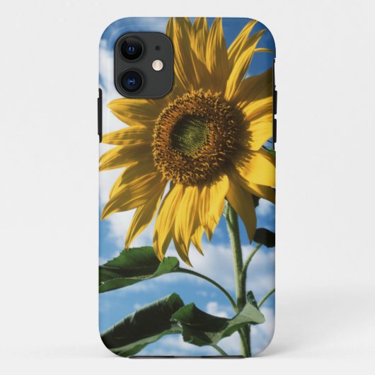 カリフォルニア、巨大なひまわり (Helianthus) 2 Case-Mate iPhoneケース (裏面)
