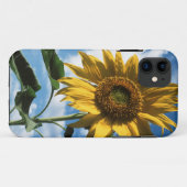 カリフォルニア、巨大なひまわり (Helianthus) 2 Case-Mate iPhoneケース (裏面(横))