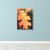 カリフォルニア、秋の色のオークの葉 キャンバスプリント (インサイチュ (ウッドフロア))