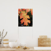 カリフォルニア、秋の色のオークの葉 ポスター (キッチン)