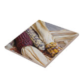 カリフォルニア。秋ハーベストカラフルインディアンコーン タイル (側面)