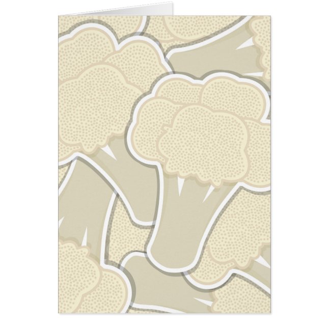 カリフファンキーロア (正面)