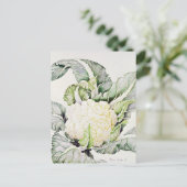 カリフラワー勉強1993 ポストカード (スタンド正面)