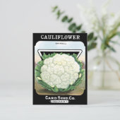 カリフラワー種子パケット白い植物園 ポストカード (スタンド正面)