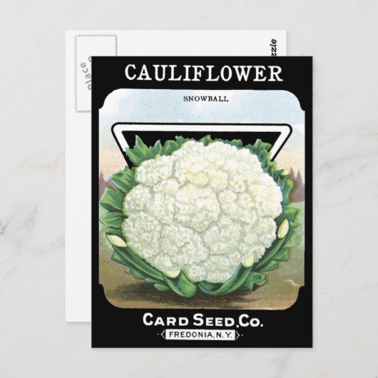 カリフラワー種子パケット白い植物園 ポストカード (正面/裏面)