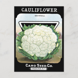 カリフラワー種子パケット白い植物園 ポストカード