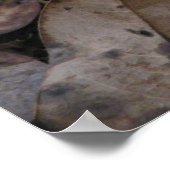 カリフラワー菌 ポスター (角)