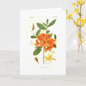 カリフラールゼラニウム（和名） メリー・E・イートン カード (黄色い花)