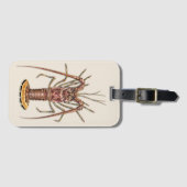 カリブのな伊勢エビの荷物のラベル ラゲッジタグ (正面横)