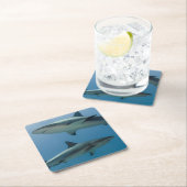 カリブのな礁の鮫 スクエアペーパーコースター (インサイチュ)