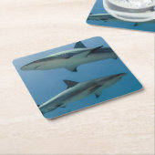 カリブのな礁の鮫 スクエアペーパーコースター (アングル)