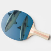 カリブのな礁の鮫 卓球ラケット (横)