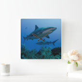 カリブのな礁Shark Jardines de la Reina スクエア壁時計 (ホーム)