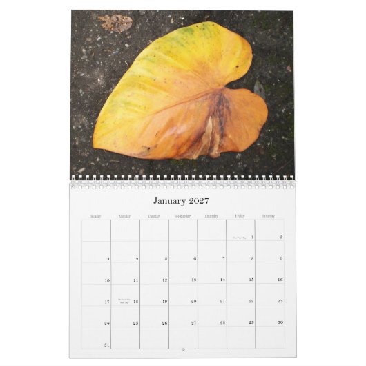 カリブのな色…花のカレンダー2009年 カレンダー (1月 2027)