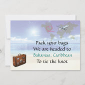 カリブのな行先の結婚式の保存日付カード セーブザデート (裏面)