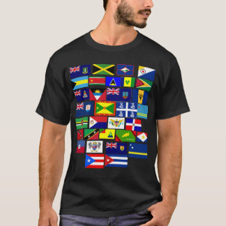 カリブのなTシャツ Tシャツ