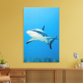 カリブのザメ キャンバスプリント (インサイチュ (リビング))