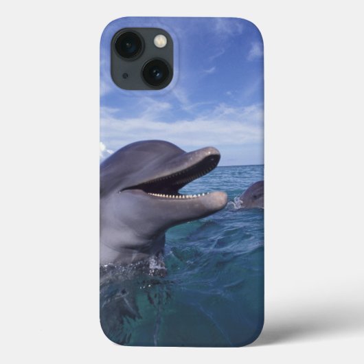 カリブのバンドウイルカのハンドウイルカ属5 Case-Mate iPhoneケース (裏面)