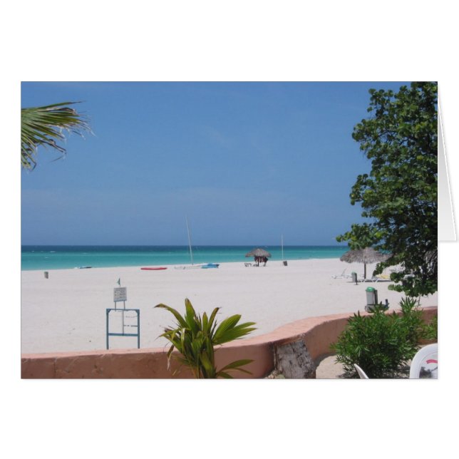 カリブのビーチ (正面横)