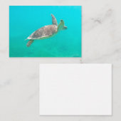 カリブの亀 ノートカード (正面/裏面)