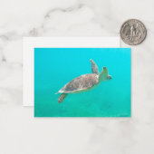 カリブの亀 ノートカード (正面/裏面インサイチュ)