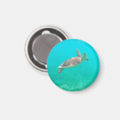 カリブの亀 マグネット (正面/裏面)