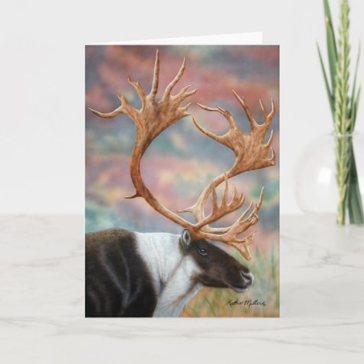 カリブの休日カード シーズンカード (正面)