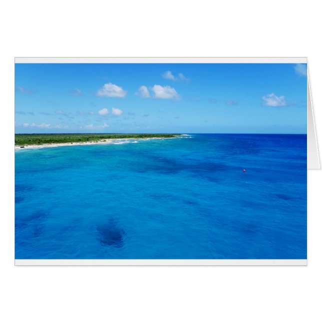 カリブの夢.JPG (正面横)