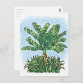カリブの木 ポストカード (正面/裏面)