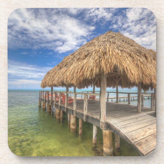 カリブの波止場 コースター (正面)