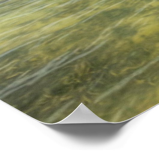 カリブの波止場 ポスター (角)