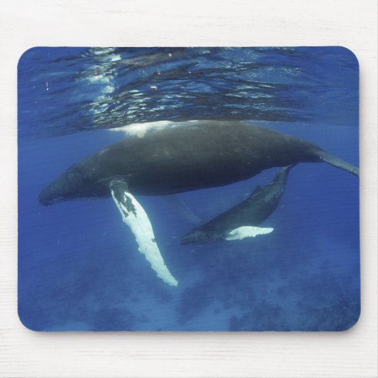 カリブの素晴らし島、アンティル諸島 マウスパッド (正面)