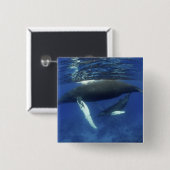 カリブの素晴らし島、アンティル諸島 缶バッジ (正面&裏面)