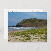 カリブの荒野の荒れ果てたビーチ ポストカード (正面/裏面)