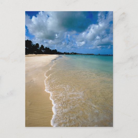 カリブの風下諸島、アンティグア、ディケンソン ポストカード (正面)