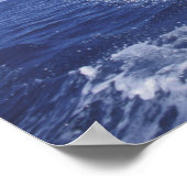 カリブの, Bottlenose dolphins Tursiops 3 ポスター (角)