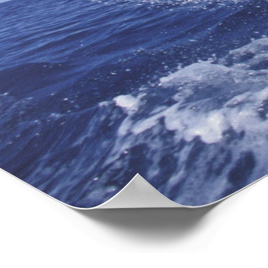 カリブの, Bottlenose dolphins Tursiops 3 ポスター (角)