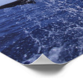 カリブの, Bottlenose dolphins Tursiops 7 ポスター (角)