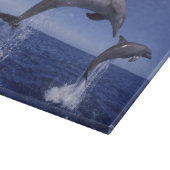 カリブの, bottlense dolphins カッティングボード (角)