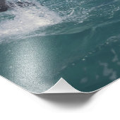 カリブの, bottlense dolphins フォトプリント            (角)