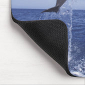 カリブの, bottlense dolphins マウスパッド (コーナー)