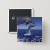 カリブの, bottlense dolphins 缶バッジ (正面&裏面)