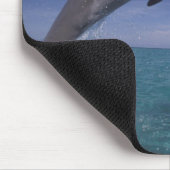 カリブの, Bottlense dolphins Tursiops マウスパッド (コーナー)