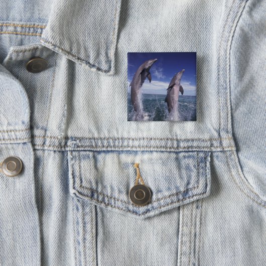 カリブの, Bottlense dolphins Tursiops 缶バッジ (インサイチュ)