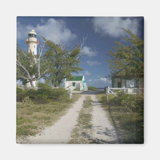カリブの, TURKS & CAICOS, Grand Turk Island, 3 マグネット (正面)