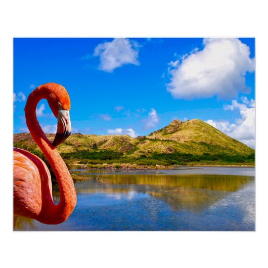 カリブのFlamingo in St kittsキャンバス ポスター (正面)