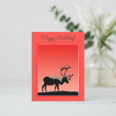 カリブアットサンセット – オリジナルワイルドライフアート ポストカード (スタンド正面)