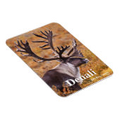 カリブアットデナリ マグネット (右側)